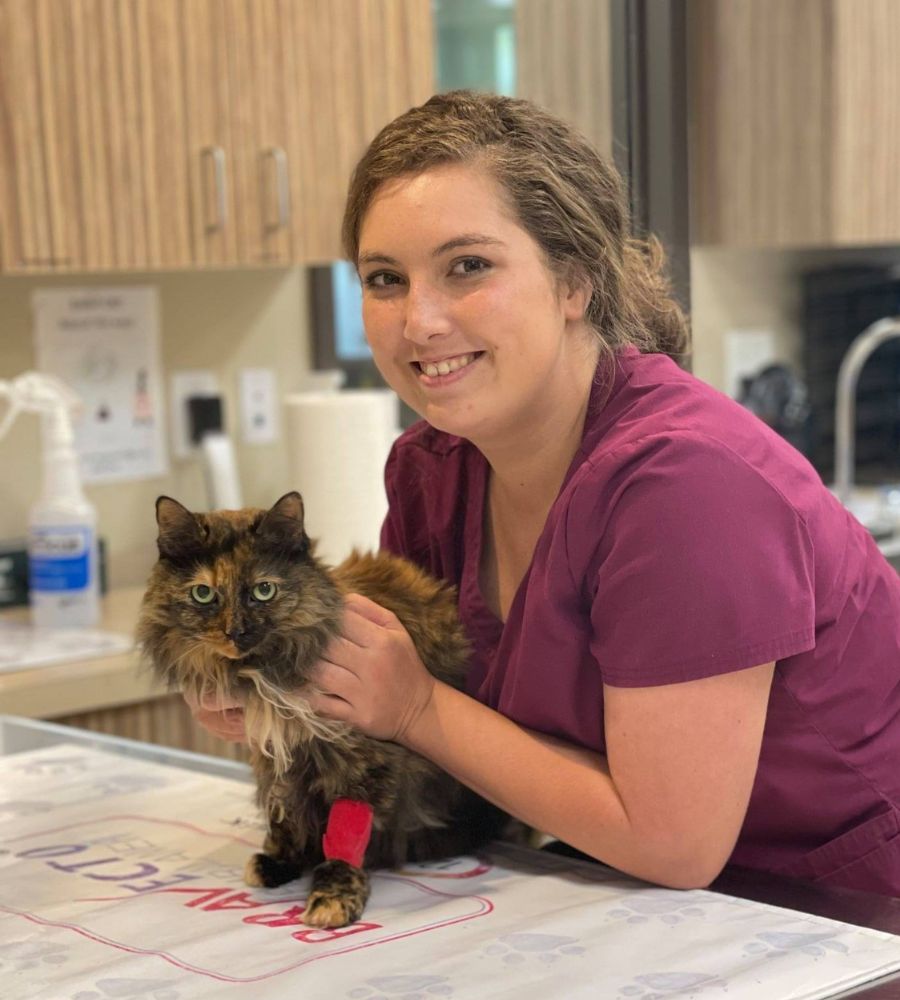  a staff member holding a cat