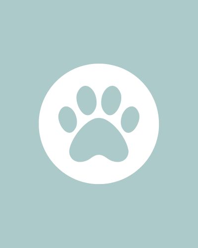 paw placeholder