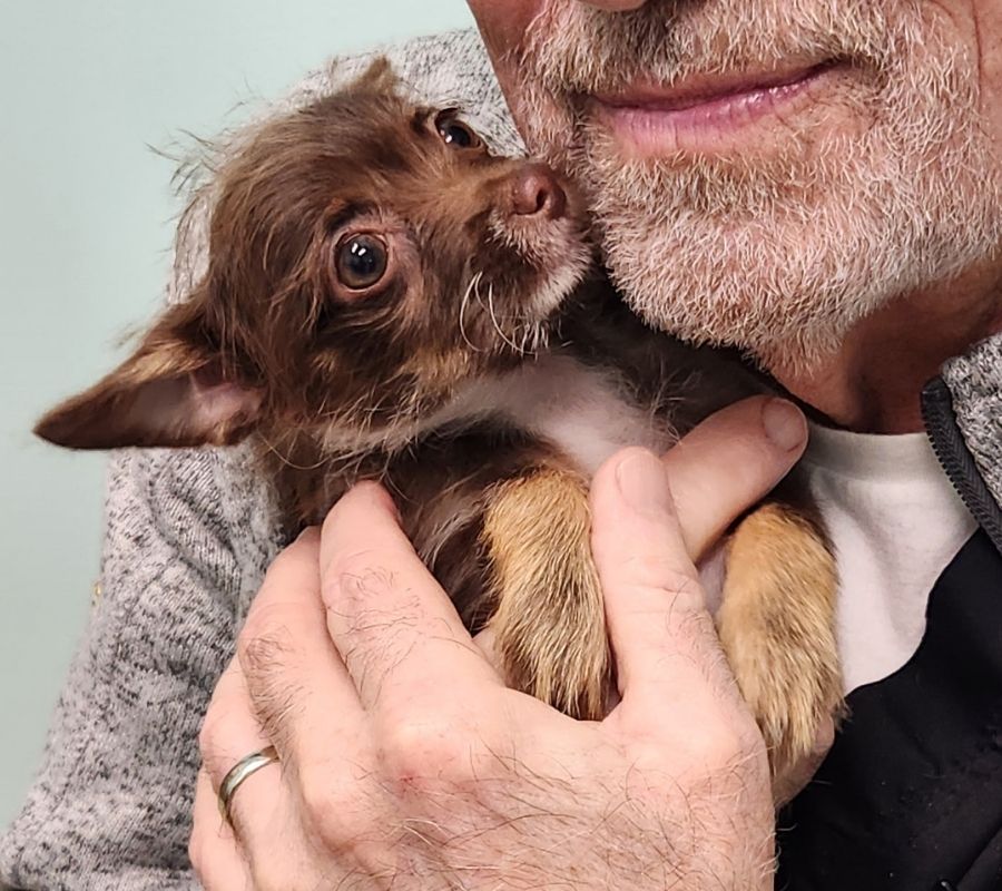 hospital building front view